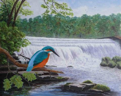 Kingfisher (Monsal Dale, Derbyshire)
