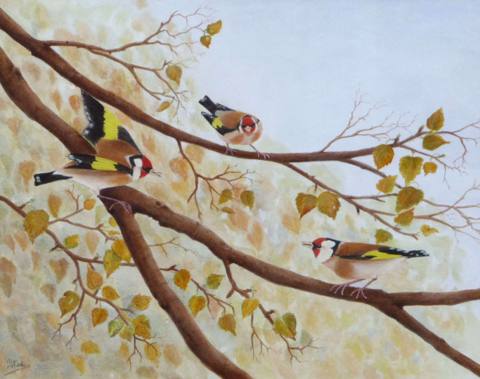 The Referee (Goldfinches)