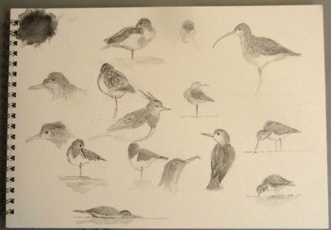 Waders