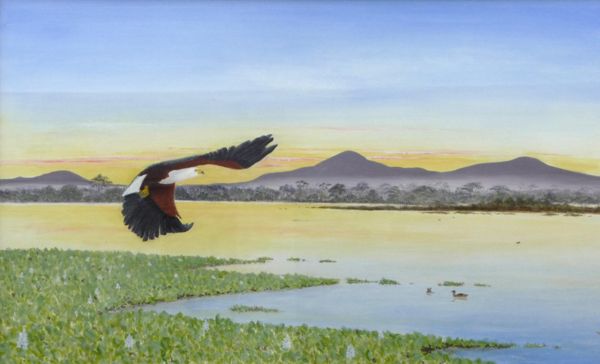 African Fish Eagle<br />(Rift Valley, Kenya)