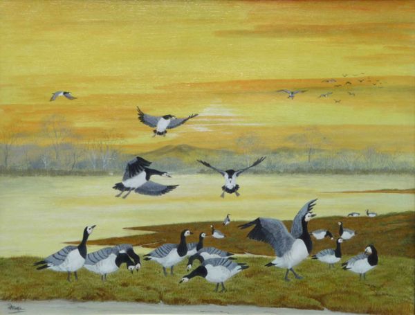 Morning Flight<br /> (Barnacle Geese)