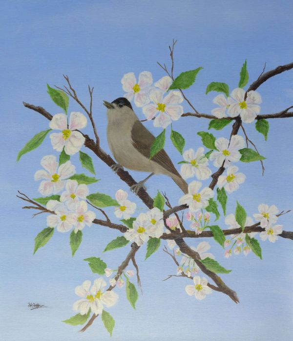 Spring