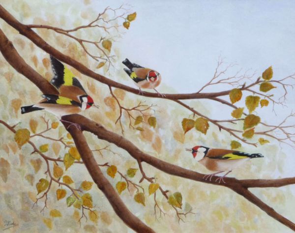 The Referee<br /> (Goldfinches)