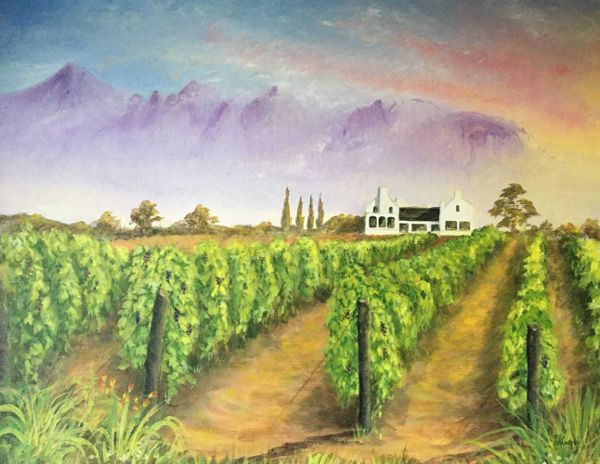 Vineyard<br />(Stellenbosch, South Africa)