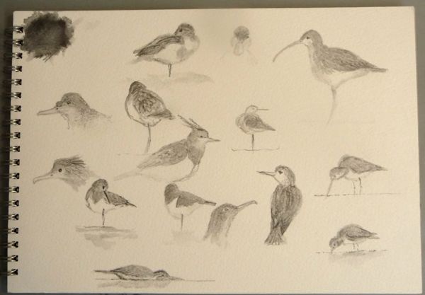 Waders