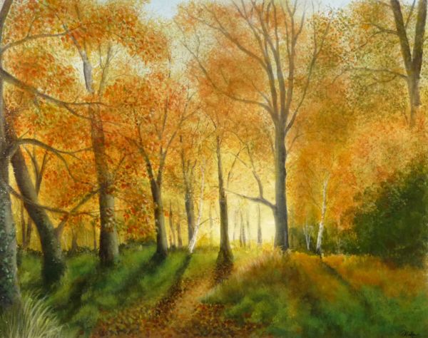 Autumn Splendour <br /> (Calke Abbey, Derbyshire)